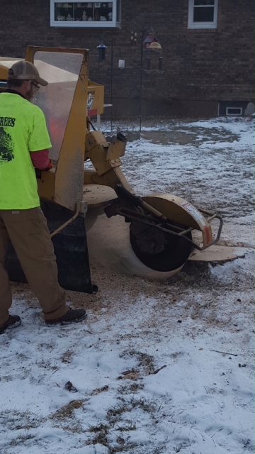 Stump grinding and Removal NWI