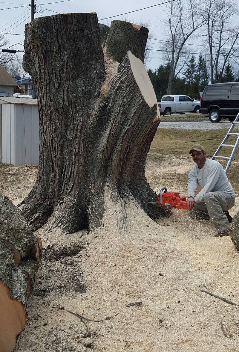 Priced Rite Tree Service Priced Rite Tree Service of Northwest