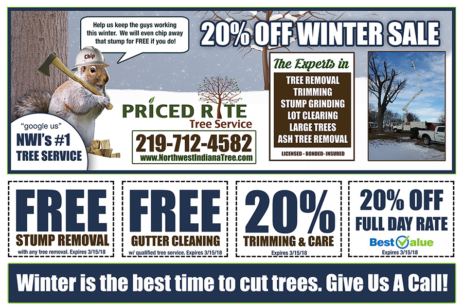 Tree Removal, Cutting, Trimming, Stump Removal Company serving